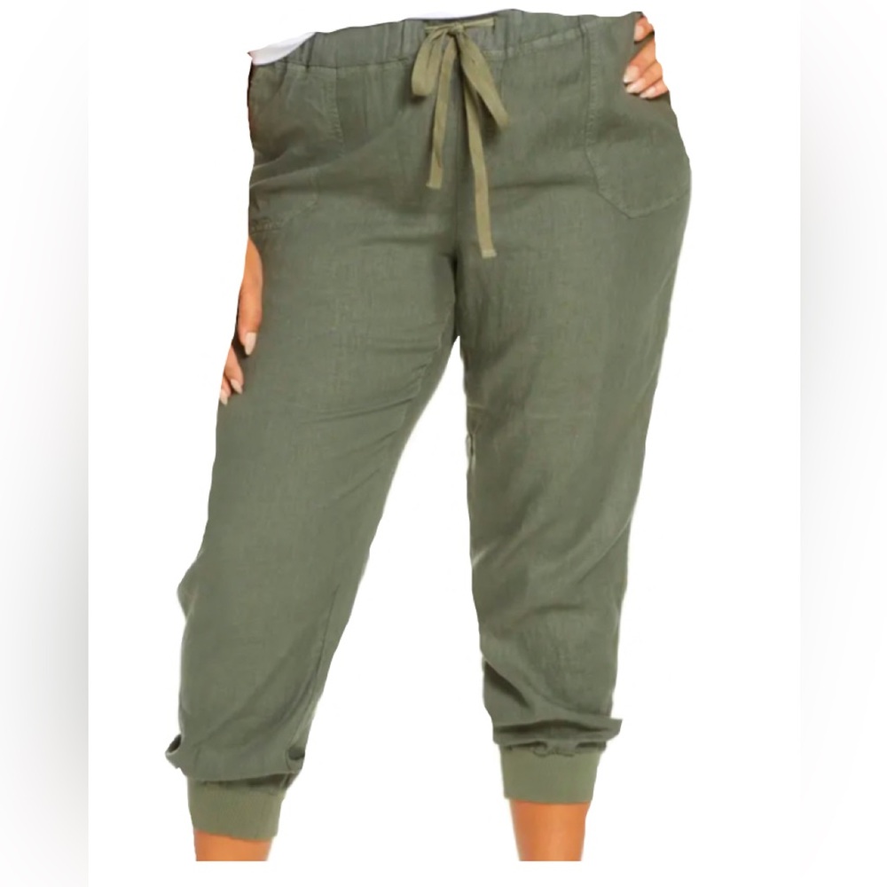 Terra & Sky Plus Size Joggers-New w/o Tags 3x